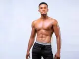 Toy livejasmin SilverDingo